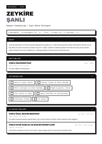Hasta ve Yaşlı Bakım Elemanı Cv Örnekleri cv indir